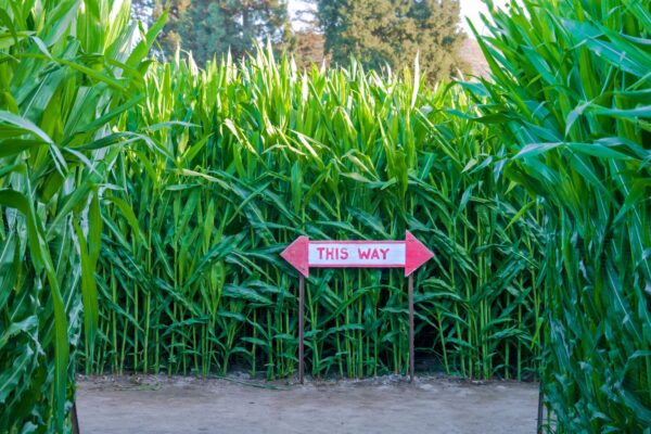 corn maze sign